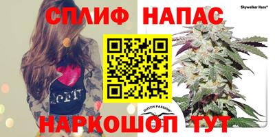 бошки Пушкино