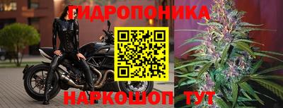 бошки Пушкино
