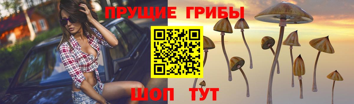 Бутурлиновка  Галлюциногенные грибы Psilocybine cubensis  Вход с VPN 